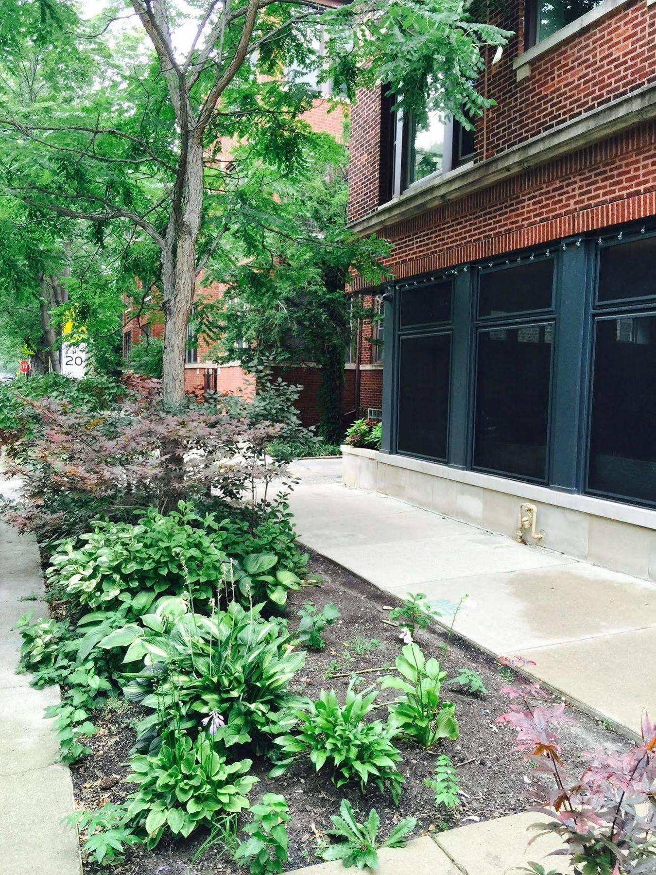 House 5863- Chicago'S Premier Bed And Breakfast Exterior photo